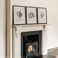 Ormington Set of Three Botanical Framed Prints