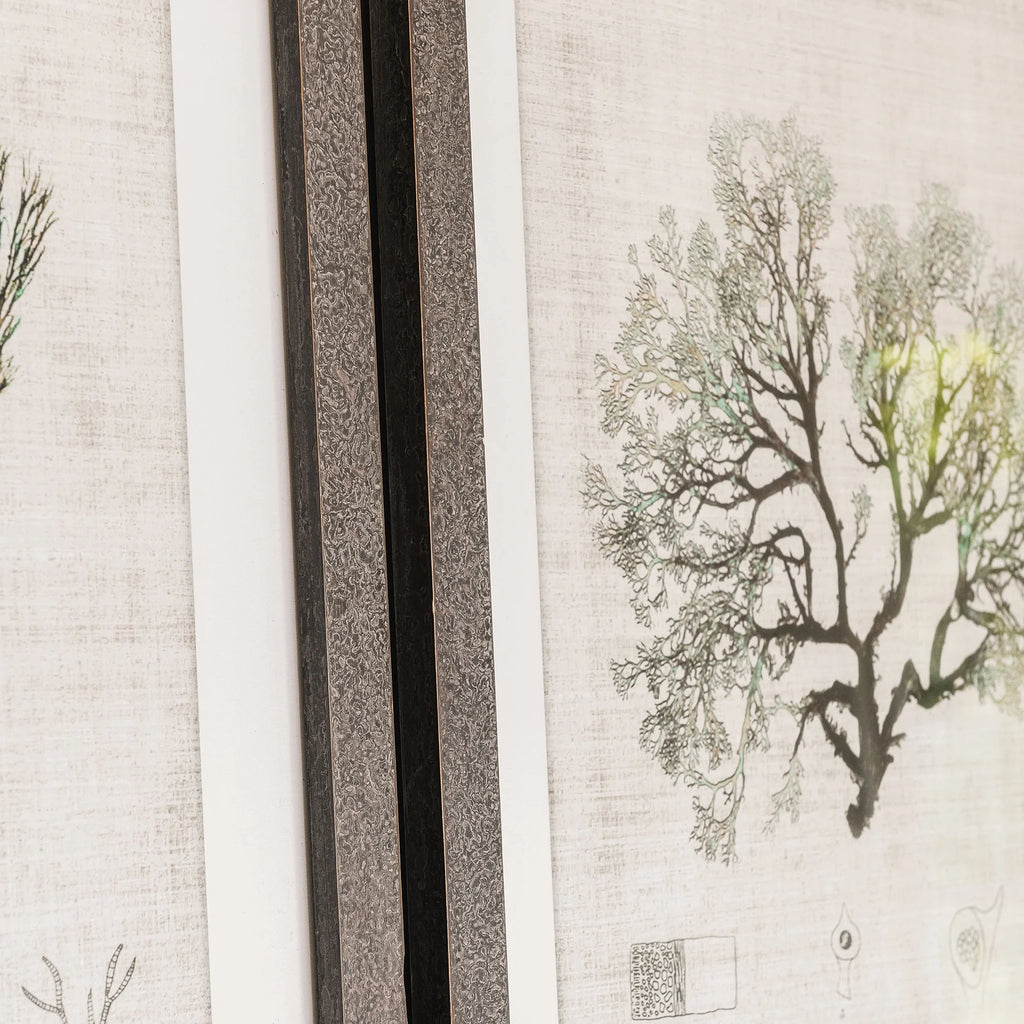 Ormington Set of Three Botanical Framed Prints