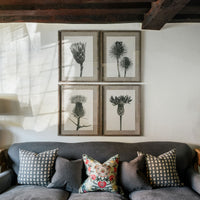 Ormington Set of 4 Poppy Framed Prints | Annie Mo's