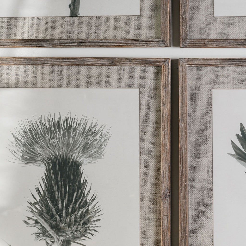 Ormington Set of 4 Poppy Framed Prints 70cm