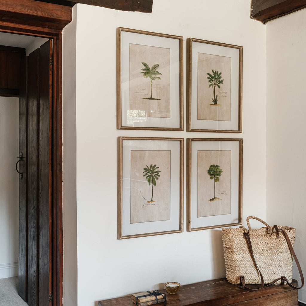 Ashmore Set of 4 Tropical Framed Prints 64.5cm