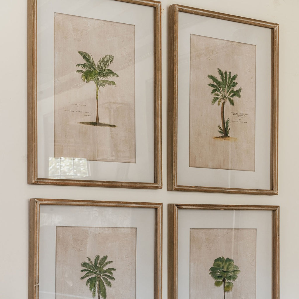 Ashmore Set of 4 Tropical Framed Prints 64.5cm