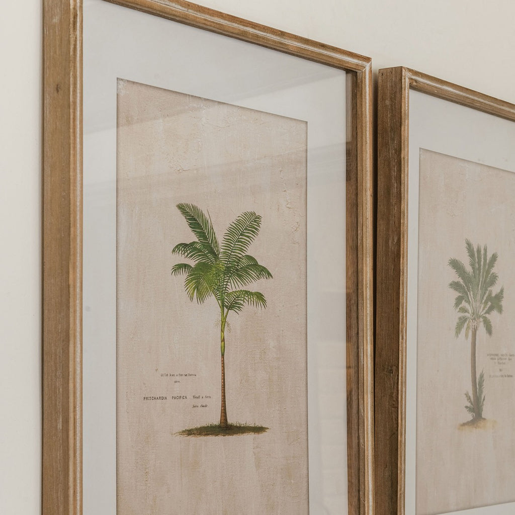 Ashmore Set of 4 Tropical Framed Prints 64.5cm