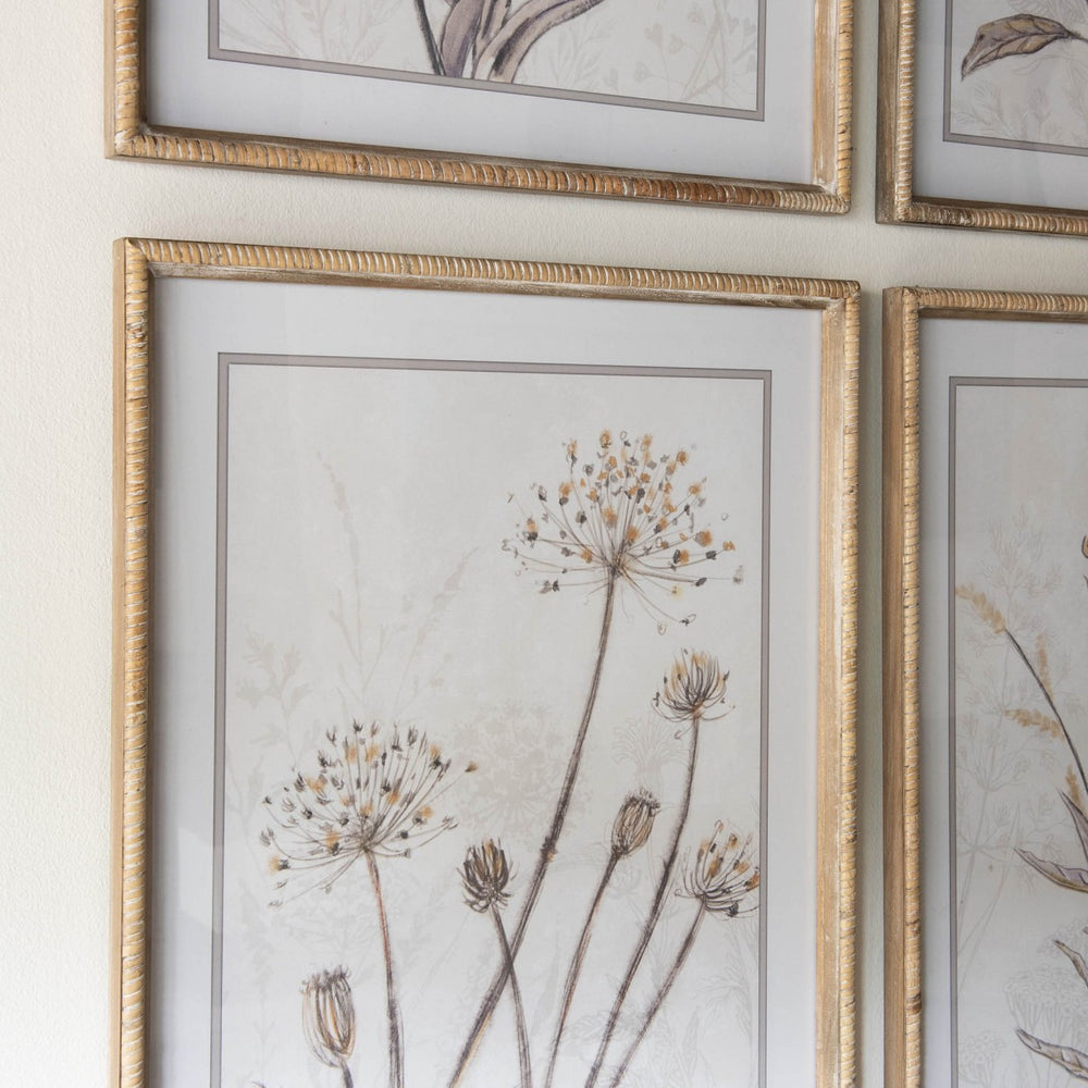 Ashmore Set of 4 Yellow Botanical Framed Prints 70cm