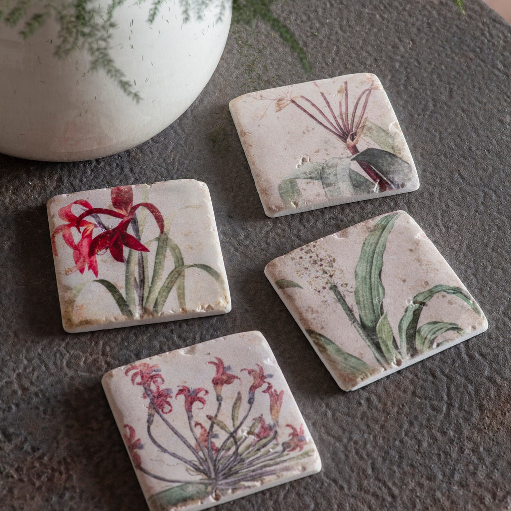 Clayton Set of Four Botanical Coasters | Annie Mo's