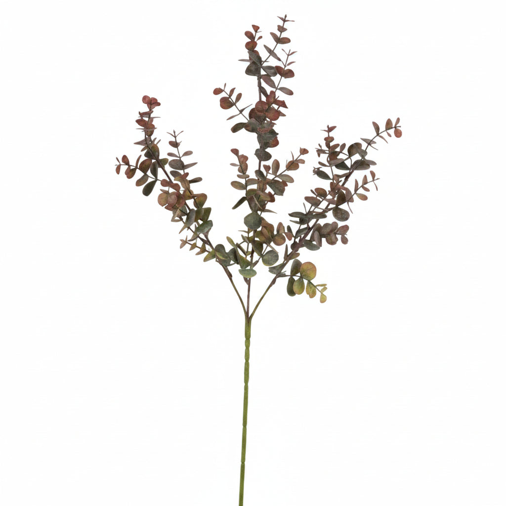 Eucalyptus Plum Stem 66cm | Annie Mo's a