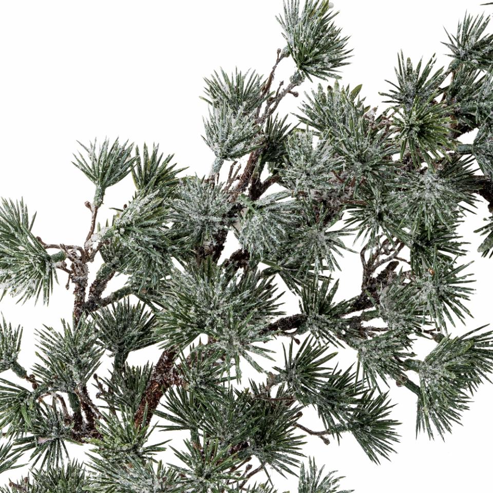 Artificial Green Jeune Wreath 50cm