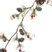 Decorative vine with pinecones, berries, and greenery on a white background