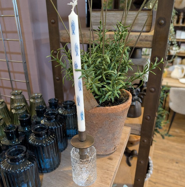 Glass Bud Vase - Colour Choice