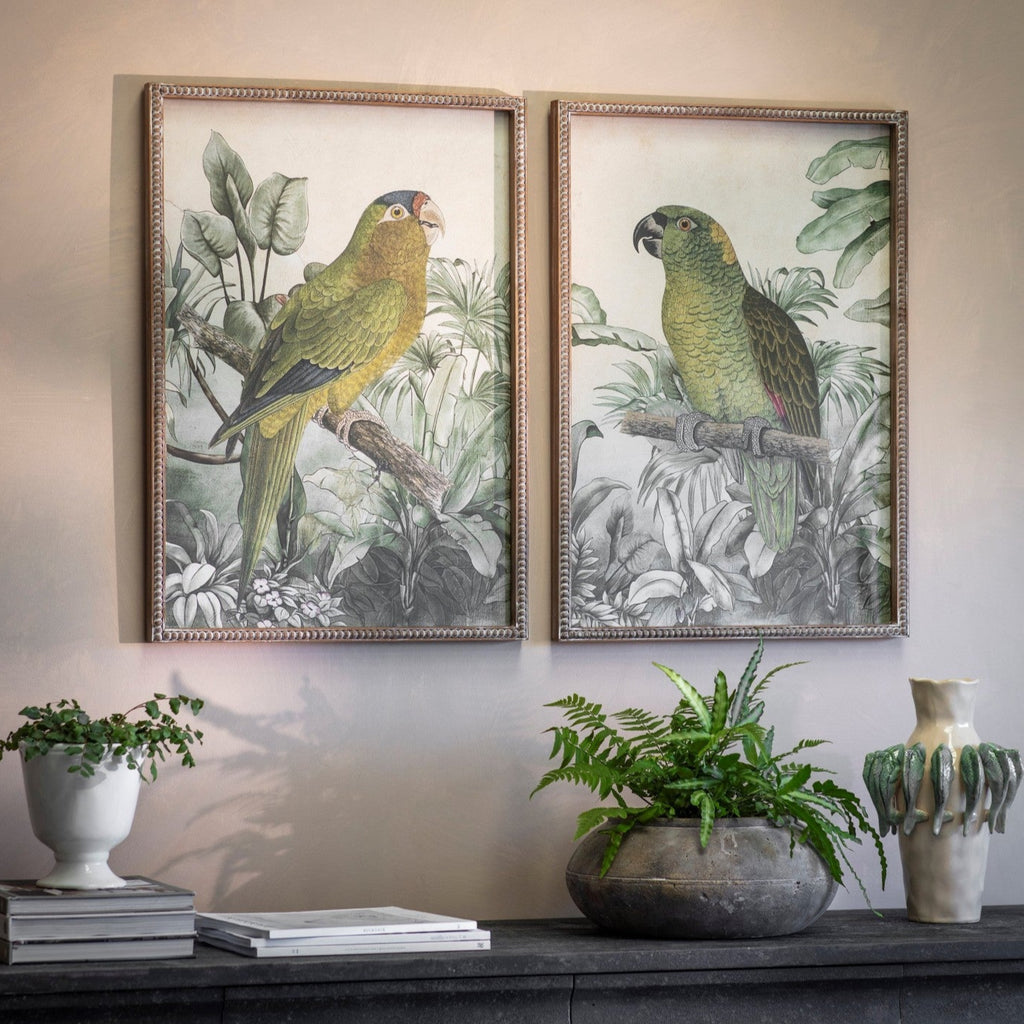 Moreton Set of Two Parrot Framed Prints 70cm | Annie Mo's