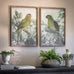 Moreton Set of Two Parrot Framed Prints 70cm | Annie Mo's