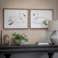Moreton Set of 2 Swan Framed Prints 70cm | Annie Mo's