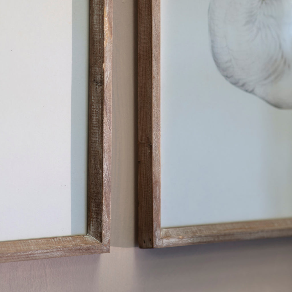 Moreton Set of 2 Swan Framed Prints 70cm