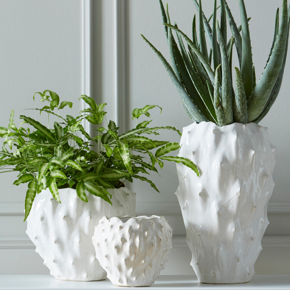 Jacqueline Planter 20cm