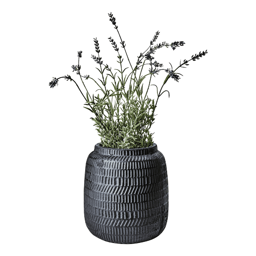 Black Terracotta Planter 22cm | Annie Mo's