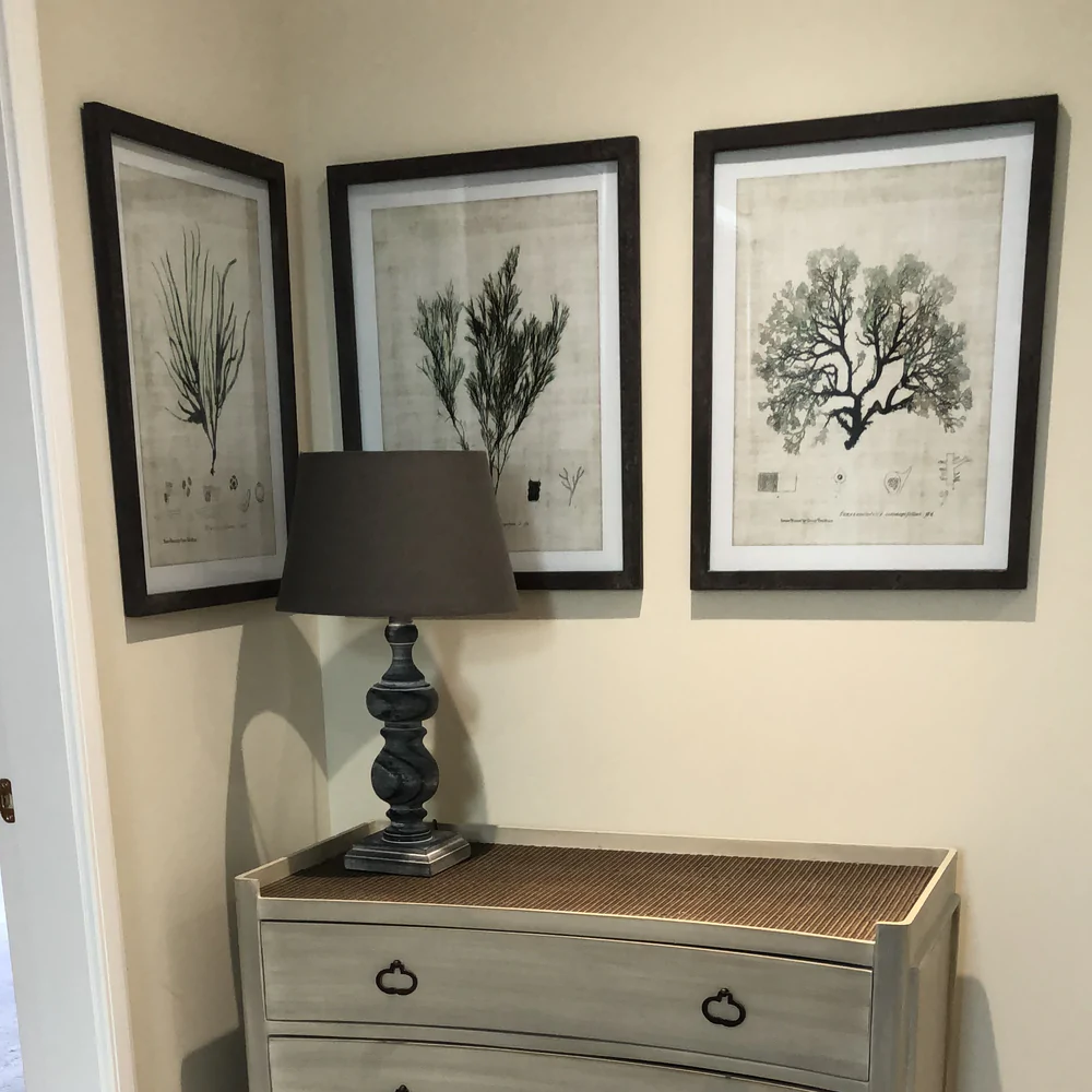 Brockby Set of Three Wooden Framed Botanical Wall Art