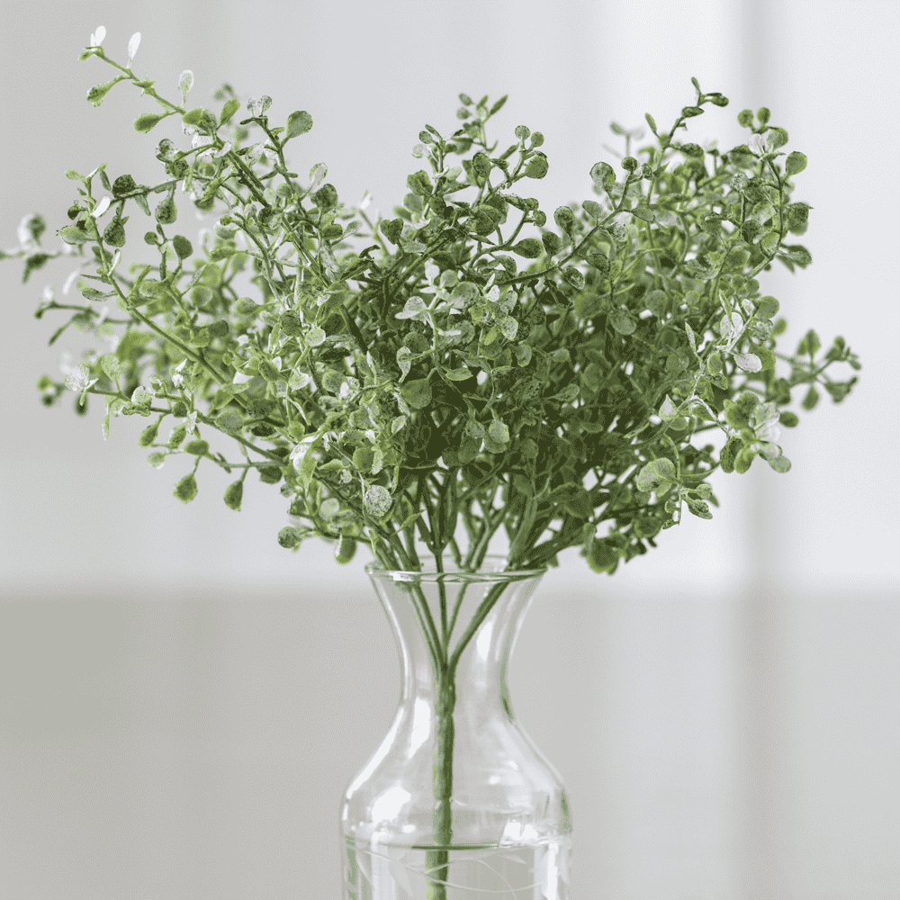 Eucalyptus Gunnii Spray 32cm