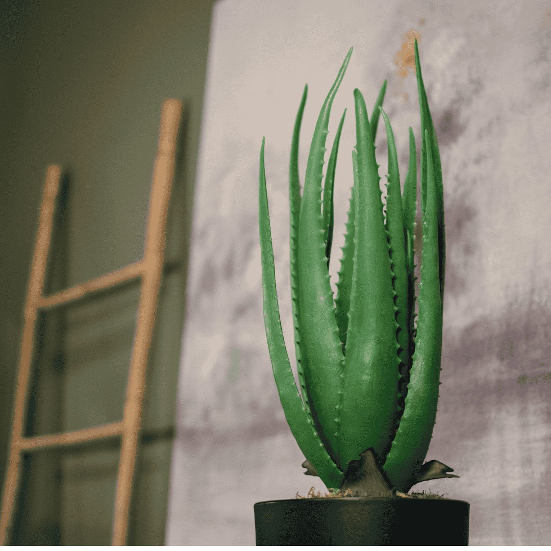 Faux Potted Aloe Plant 58cm