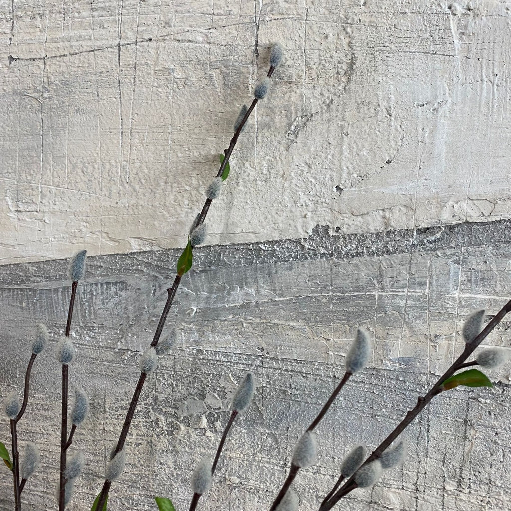 Faux Pussy Willow Stem with Leaves 85cm | Annie Mo's C