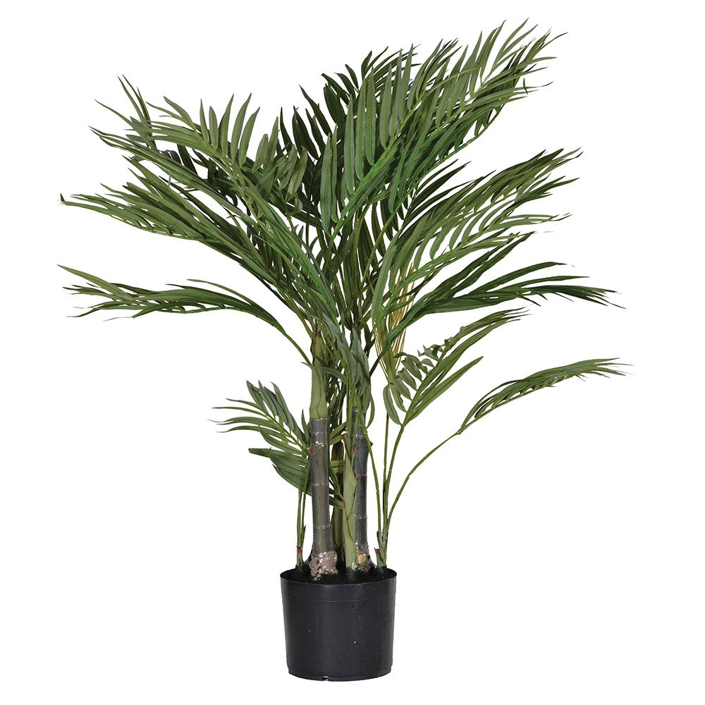 Green Small Areca Palm in Black Pot 88cm | Annie Mo's
