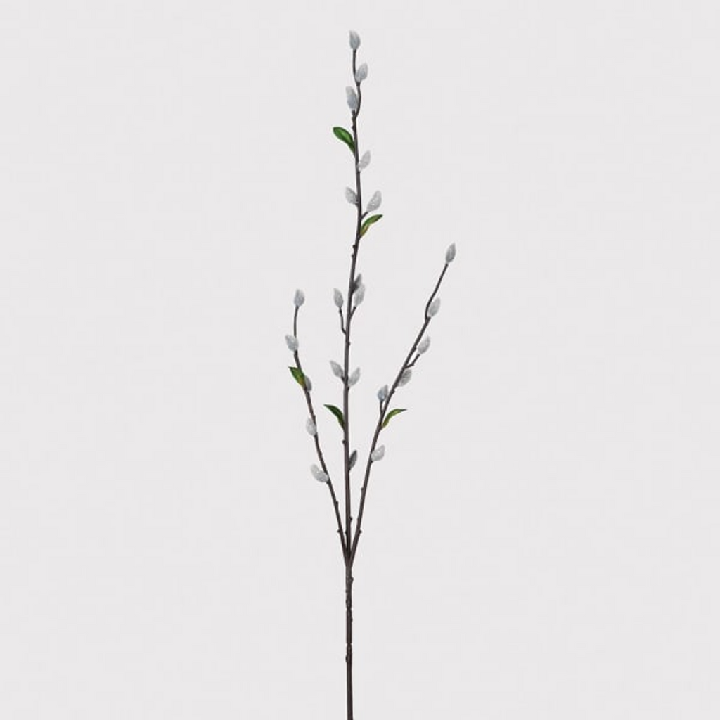 Grey Pussy Willow Spray with Leaves 88cm | Annie Mo's D