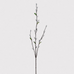 Grey Pussy Willow Spray with Leaves 88cm | Annie Mo's