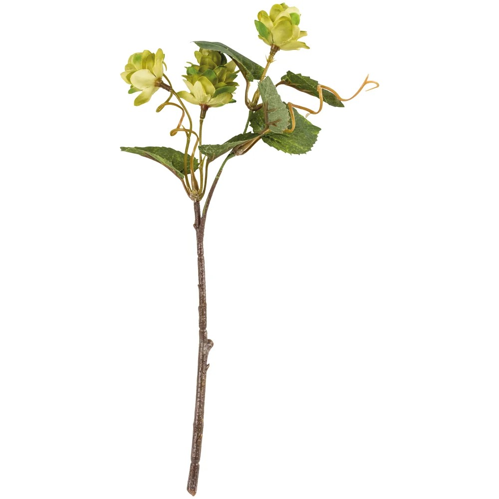 Hops Sprig 29cm