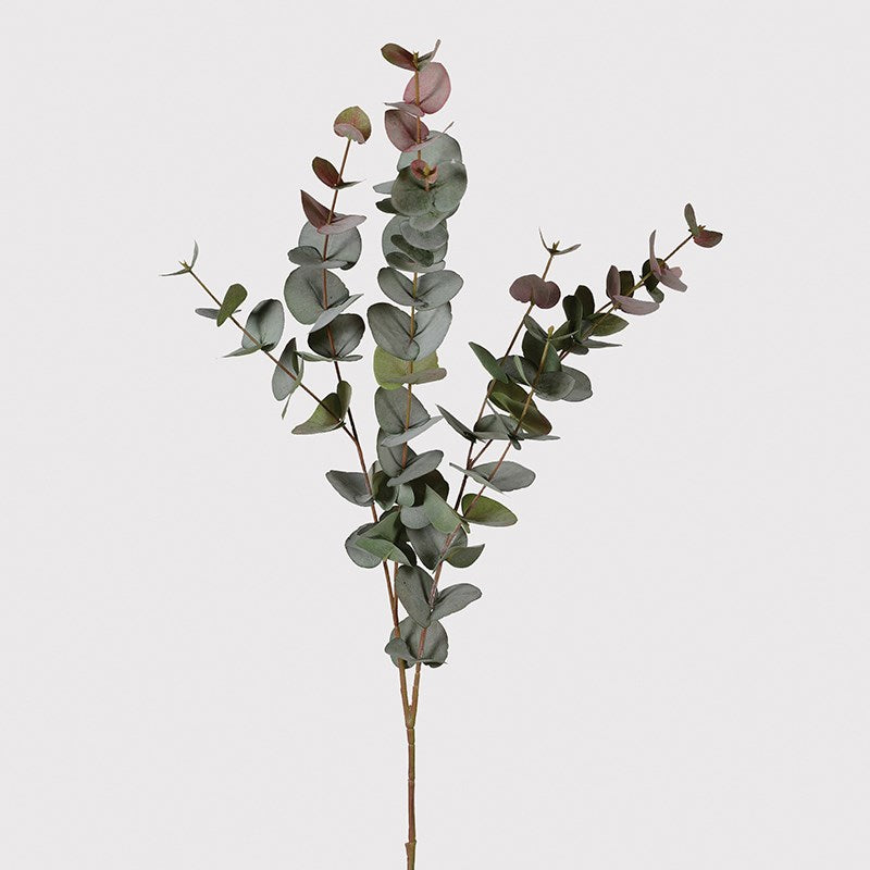 Large Natural Blush Eucalyptus Spray 100cm | Annie Mo's C