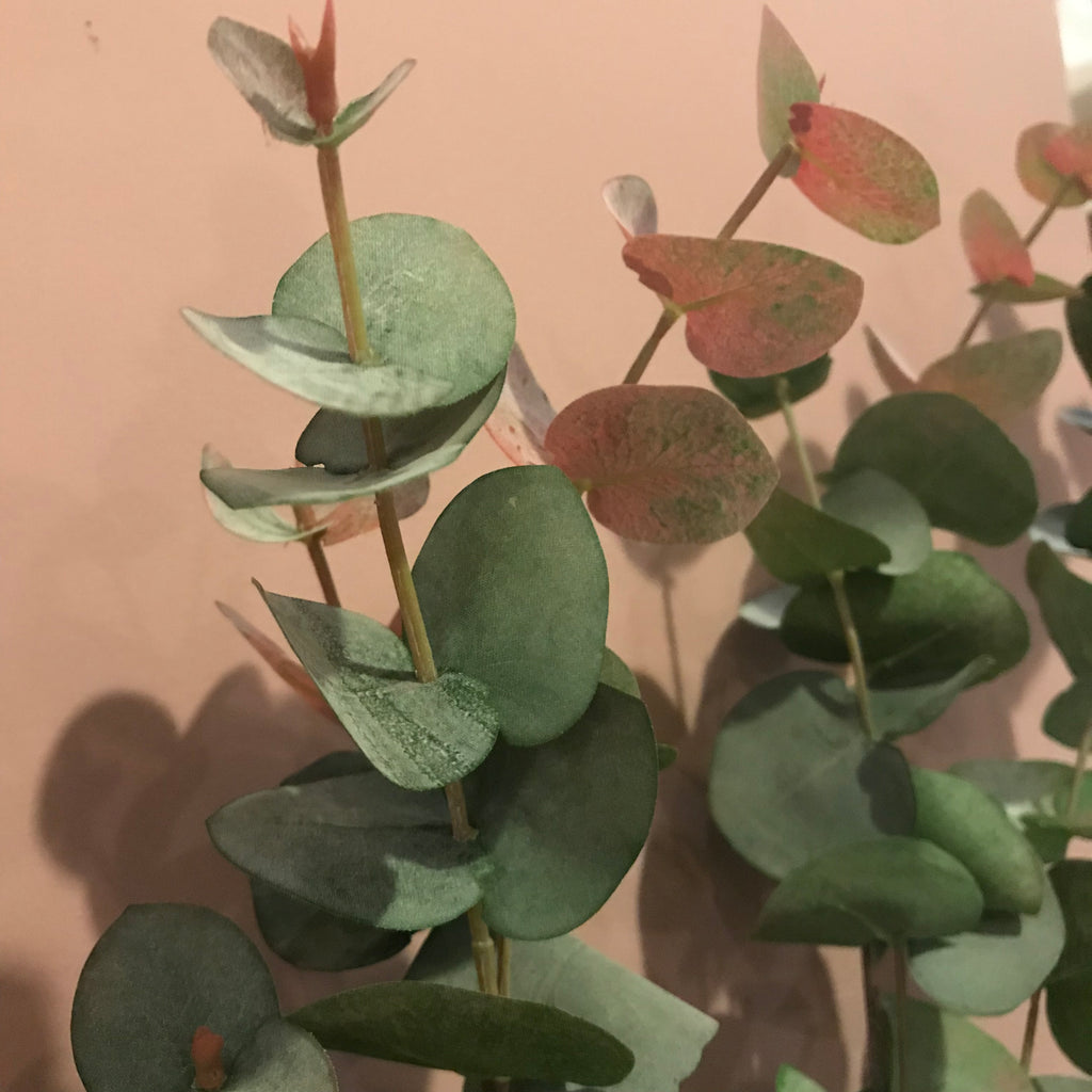 Large Natural Blush Eucalyptus Spray 100cm D