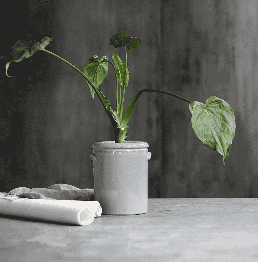 Light Grey Pottery Planter 24cm | Annie Mo's