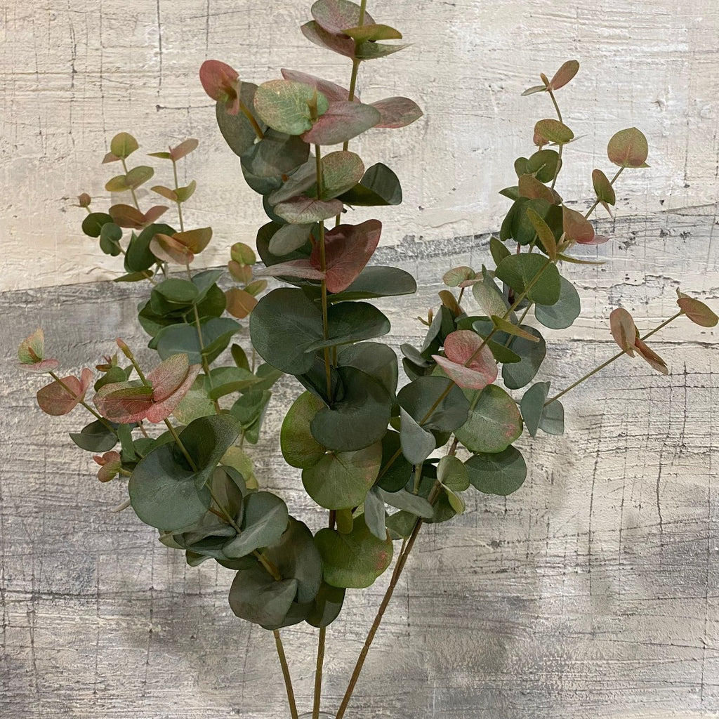 Natural Blush Eucalyptus Spray 85cm | Annie Mo's B