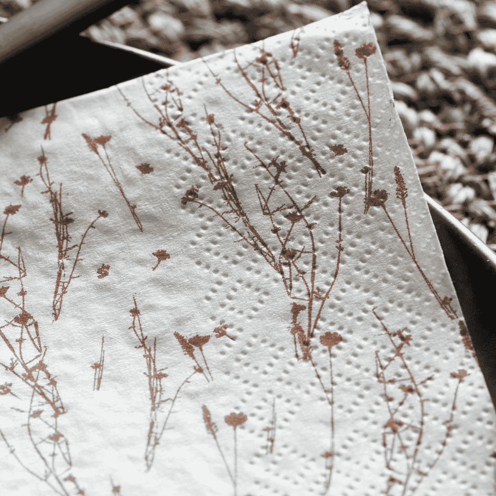 Orange Meadow Napkins 16cm x 16cm Set of 40