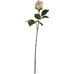 Rose Apple White Rose Stem 47cm