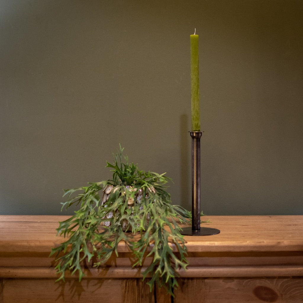 Rustic Dinner Candle Fern Green 27cm | Annie Mo's