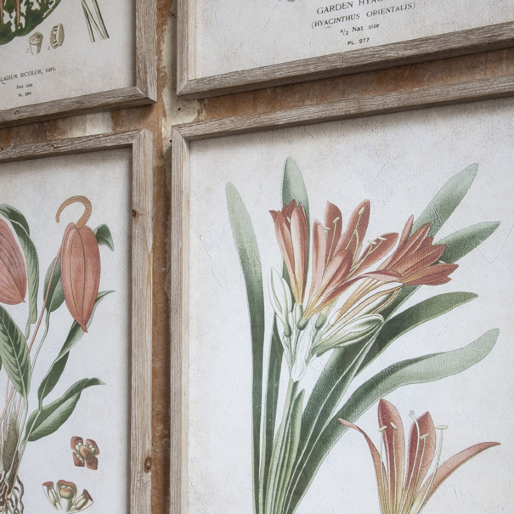 Ormington Set of Four Botanical Framed Prints 70cm
