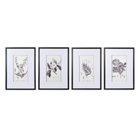 Set of Four Monochrome Botanical Pictures 70cm | Annie Mo's