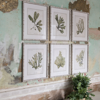 Set of Six Gorgeous Fern Framed Prints 60cm | Annie Mo's
