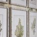 Ormington Set of 6 Aloe and Algae Framed Prints 60cm