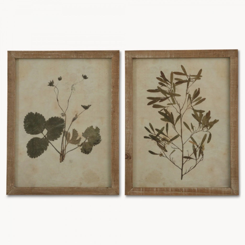 Set of Two Framed Leaf Prints 53cm | Annie Mo's