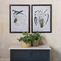 Set of Two Framed White Orchid Prints 70cm | Annie Mo's