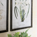 Set of Two Framed White Orchid Prints 70cm