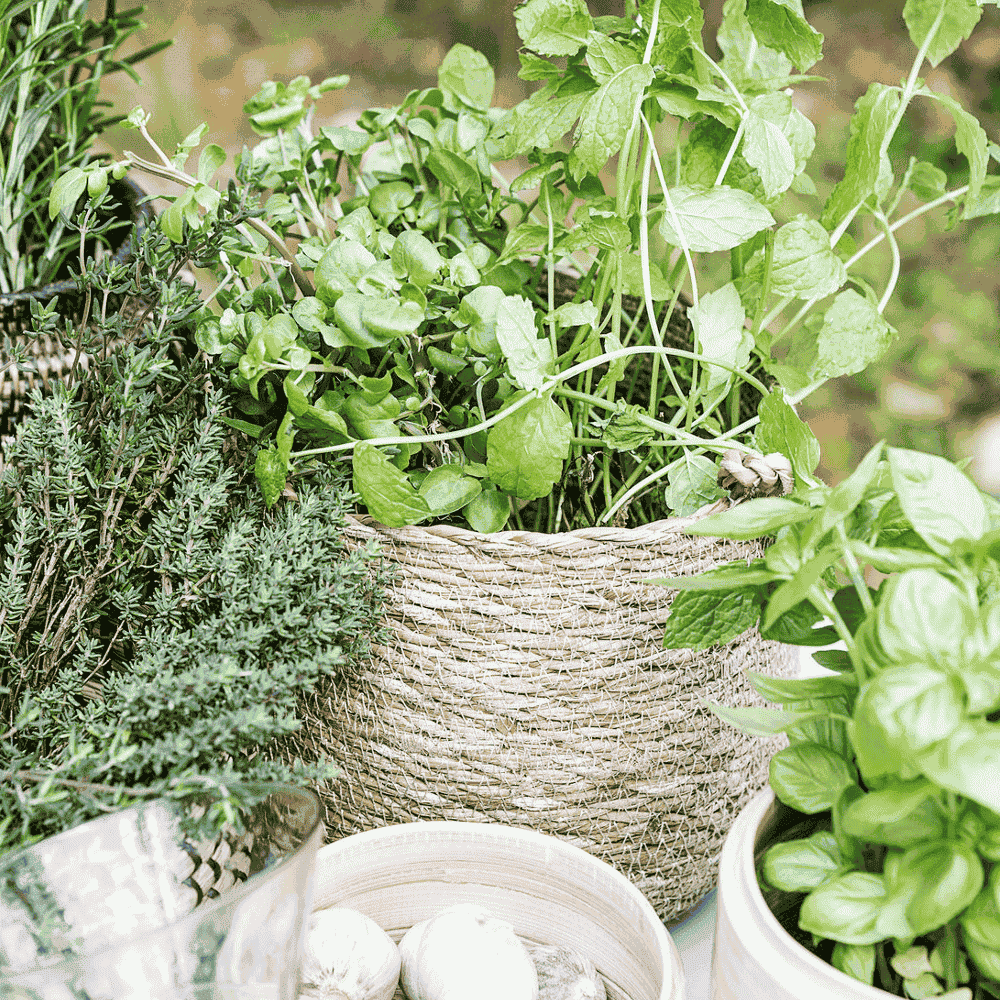 Small Hanging Basket-C