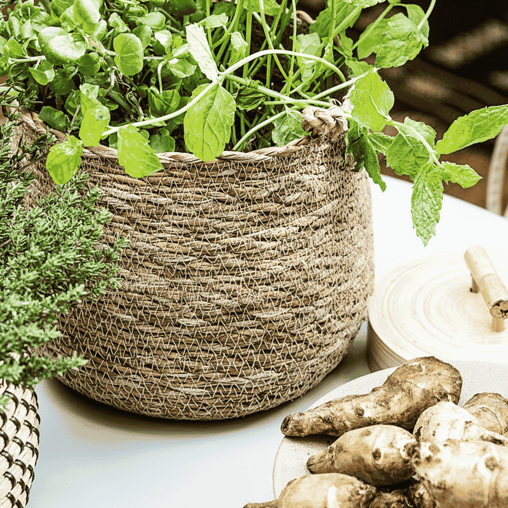 Small Hanging Basket-B