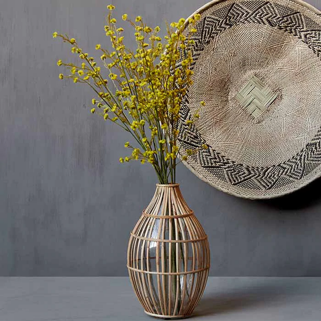 Stirlingia Latifloia Stem 72cm