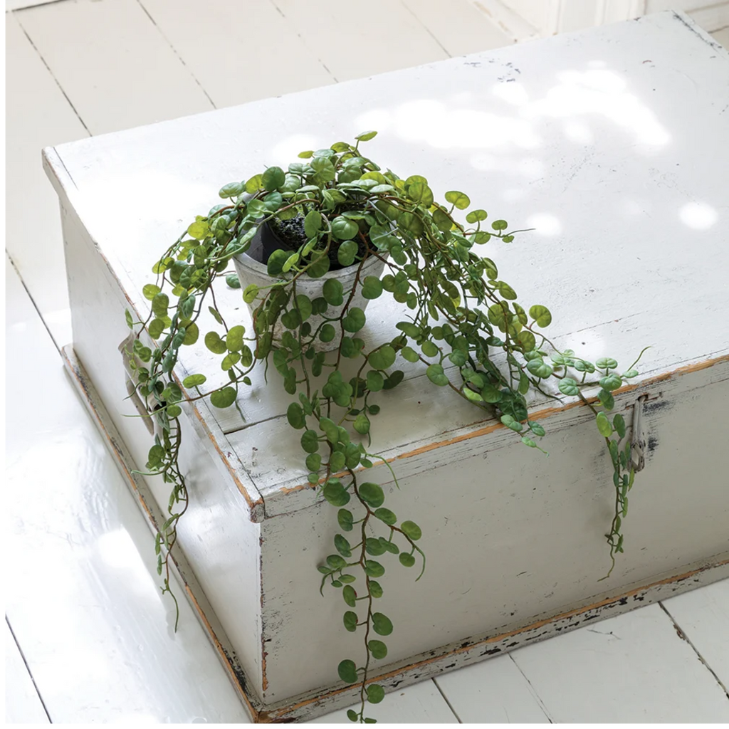 String of Hearts in Pot 56cm