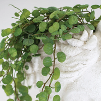 String of Hearts in Pot 56cm | Annie Mo's