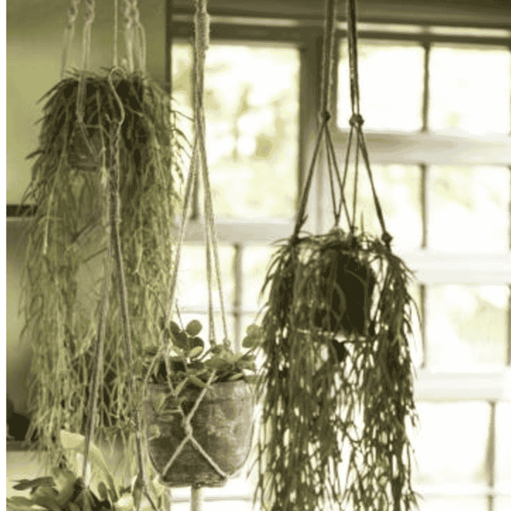 Natural Jute Pot Hanger 90cm | Annie Mo's