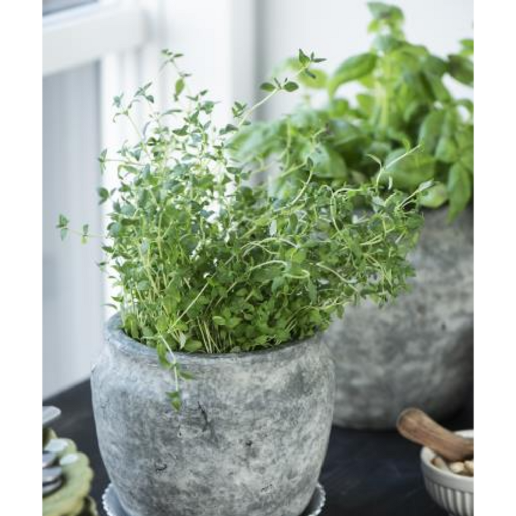 Clay Athens Grooved Pot - Green Washed 15cm