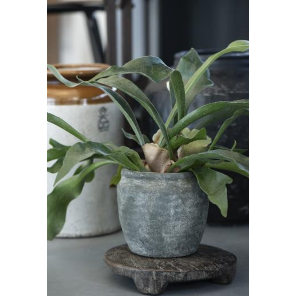 Clay Athens Grooved Pot - Green Washed 15cm