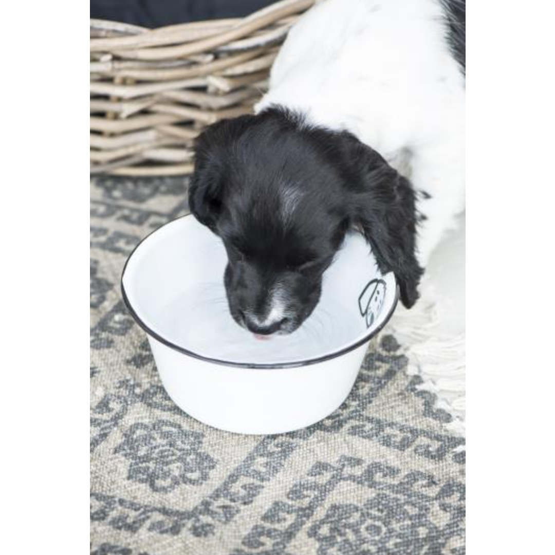 Bowls for Dogs Enamel